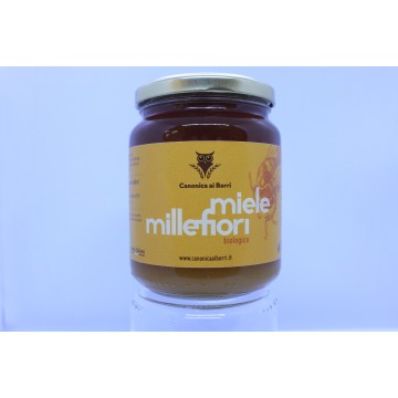 MIELE MILLEFIORI BIO - Az. Canonica ai Borri